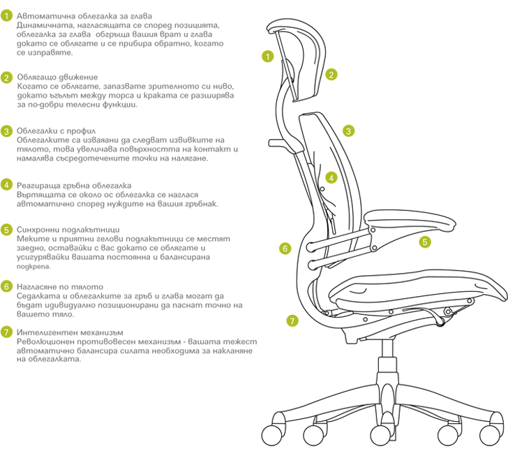 Freedom Chair Features